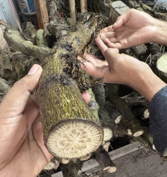 স্বাদে ঝাঁজে অতুলনীয় – খুলনার প্রিমিয়াম খাঁটি চুইঝাল (যে কোন পরিমান)