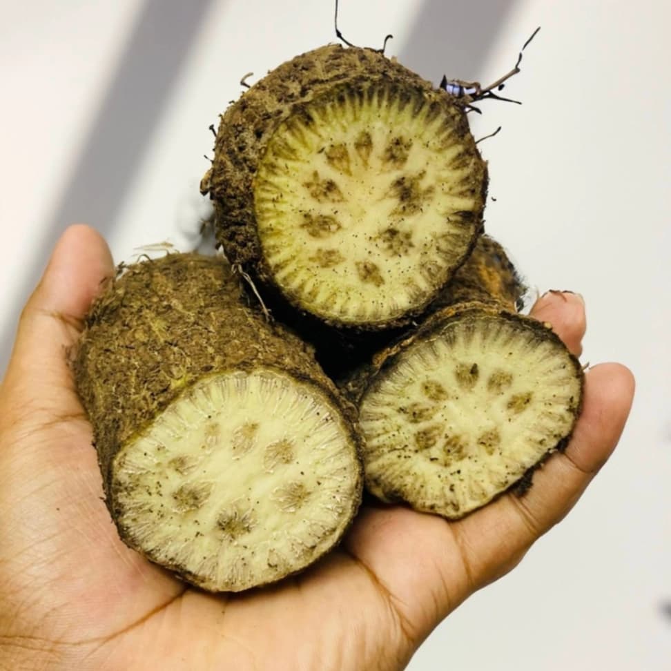 500 G